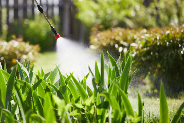 Tamper-Resistant Bait Stations for Rodents in Hartwell