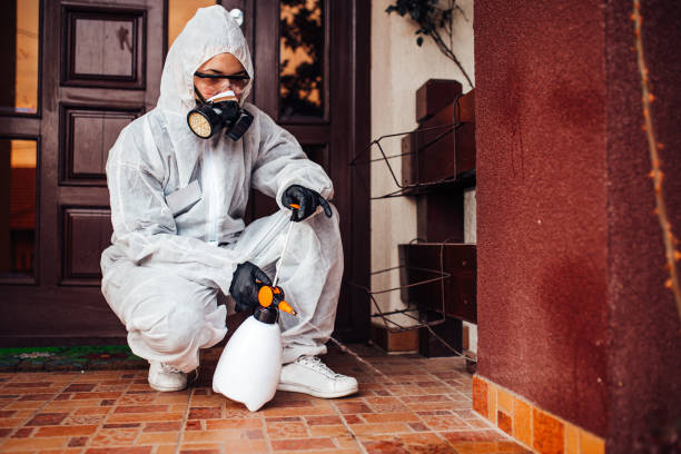 Attic and Crawl Space Rodent Treatment in Hartwell