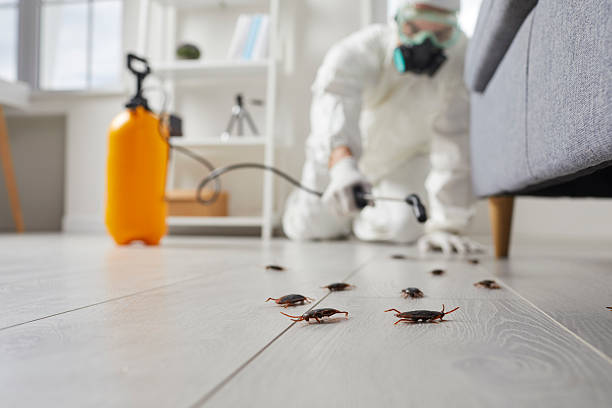 Commercial Rodent Management in Hartwell